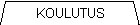 Koulutus